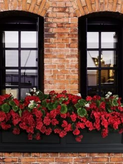 Fairfield Self-Watering Window Box, 5’ -Green Haven Shop 8588938 102V tif