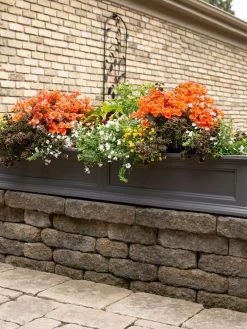 Fairfield Self-Watering Window Box, 5’ -Green Haven Shop 8588938 105V tif