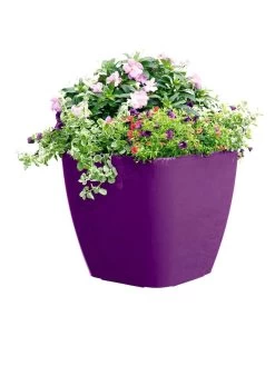 Viva Square Self-Watering Rolling Planter, 17.5" Diameter -Green Haven Shop 8589778PR 6126 tif