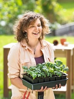 Growease Seed Starter Kit -Green Haven Shop 8589987 0446 tif