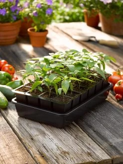 Growease Seed Starter Kit -Green Haven Shop 8589987 1148 tif