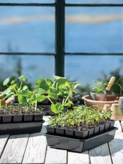 Growease Seed Starter Kit -Green Haven Shop 8589987 7871 tif