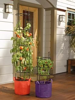 Gardener's Best® Tomato Grow Bag Set -Green Haven Shop 8590013 170 tif