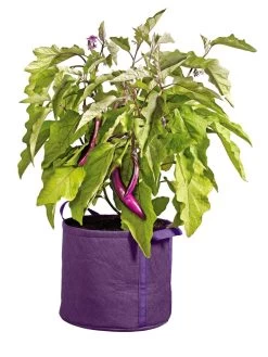 Gardener's Best® Universal Grow Bag -Green Haven Shop 8590024PR 214 tif