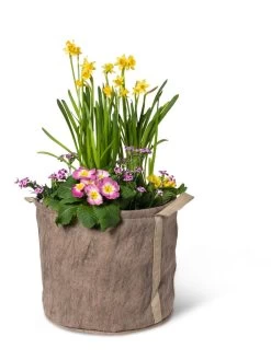 Gardener's Best® Universal Grow Bag -Green Haven Shop 8590024 7307 tif