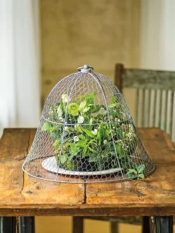 Chicken Wire Cloche -Green Haven Shop 8590210 1 tif