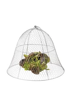 Chicken Wire Cloche -Green Haven Shop 8590210 675 tif