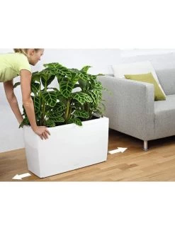 Lechuza® Cararo Rectangular Indoor Planter With Casters -Green Haven Shop 8590295 03v
