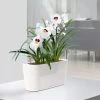 Lechuza® Delta Self-Watering Windowsill Planters