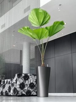 Lechuza® Delta Premium Self-Watering Planters 11 Lechuza® Delta Premium Self-Watering Planters -Green Haven Shop 8590299 02V tif