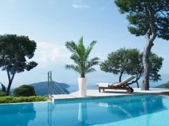 Lechuza® Delta Premium Self-Watering Planters 10 Lechuza® Delta Premium Self-Watering Planters -Green Haven Shop 8590299 04V tif