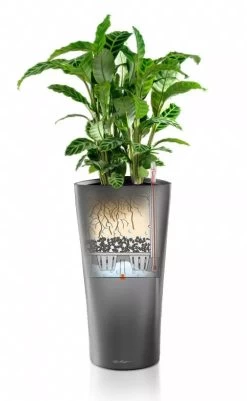 Lechuza® Delta Premium Self-Watering Planters 8 Lechuza® Delta Premium Self-Watering Planters -Green Haven Shop 8590299 05V tif