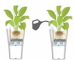 Lechuza® Delta Premium Self-Watering Planters 9 Lechuza® Delta Premium Self-Watering Planters -Green Haven Shop 8590299 07V tif