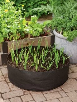 Garlic Grow Bag Kit