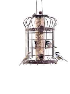 Edwardian Bird Feeder -Green Haven Shop 8590897 200151 tif