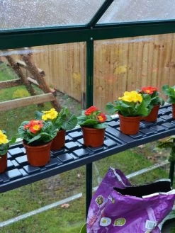 Canopia® By Palram Shelf Kit For Greenhouses, Set Of 2 Shelves -Green Haven Shop 8591033 09V jpg