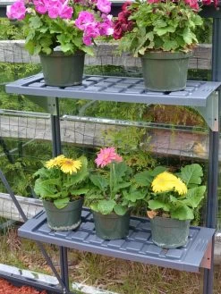 Canopia® By Palram Shelf Kit For Greenhouses, Set Of 2 Shelves -Green Haven Shop 8591033 11V jpg