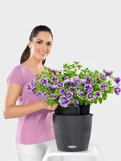 Lechuza® Nido Cottage Wicker Hanging Planter -Green Haven Shop 8591154GT 006V tif