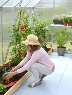 Canopia® By Palram Essence™ Greenhouse, 8' X 12' -Green Haven Shop 8591356 04V tif