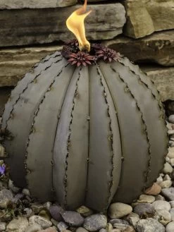 Desert Steel Golden Barrel Cactus Torches -Green Haven Shop 8591454 01V tif