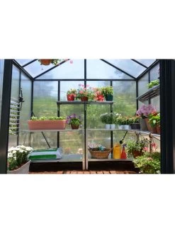 Canopia® By Palram Glory™ Greenhouse, 8' -Green Haven Shop 8591547 02v