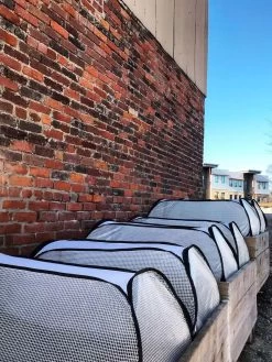 Row Shelter Accelerator -Green Haven Shop 8591990 01IN tif