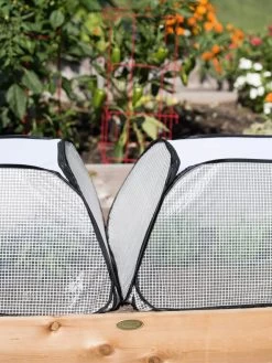 Row Shelter Accelerator -Green Haven Shop 8591990 2199 tif