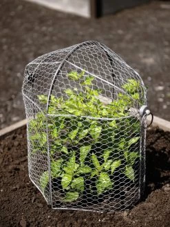 Green Haven Shop -Green Haven Shop 8592117 1465 tif