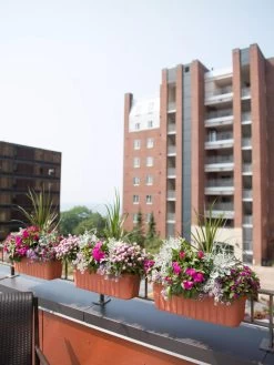 Adjustable Self-Watering Railing Planter, 24" -Green Haven Shop 8592173TC 2383 tif