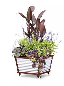 Galvanized Self-Watering Planters 7 Galvanized Self-Watering Planters -Green Haven Shop 8592176 5067 tif
