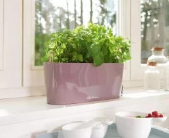 Lechuza® Delta Self-Watering Windowsill Planters -Green Haven Shop 8592361 01V tif
