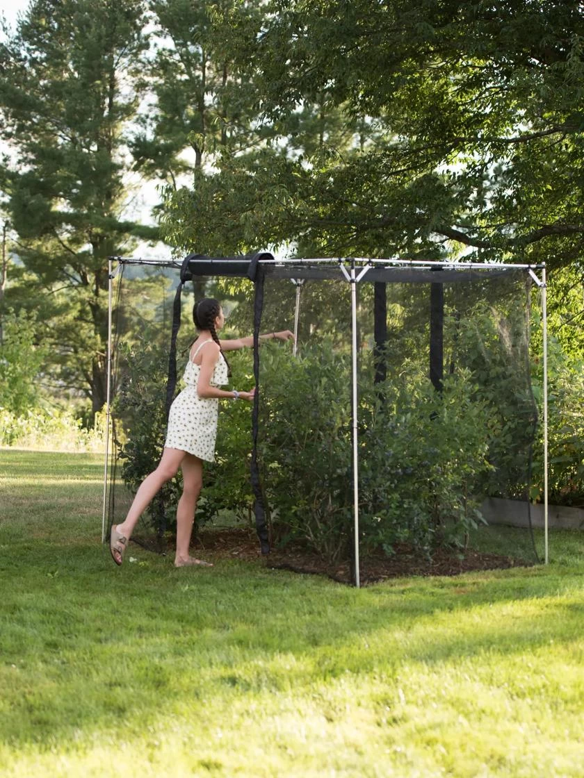 Storm Proof Crop Cage, Large 1 Storm Proof Crop Cage, Large