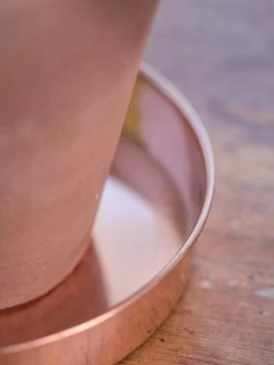 Extra Small Round Copper Plant Tray, 8" -Green Haven Shop 8593528 4529 tif