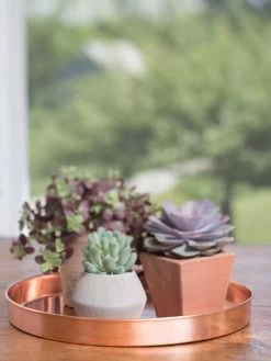 Large Round Copper Plant Tray, 14" -Green Haven Shop 8593531 4518 tif