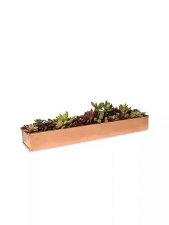 Rectangular Copper Plant Tray, 18"x4" -Green Haven Shop 8593532 2892 tif