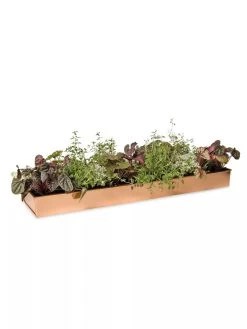 Rectangular Copper Plant Tray, 24" X 5" -Green Haven Shop 8593533 2878 tif