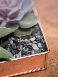 Rectangular Copper Plant Tray, 24" X 5" -Green Haven Shop 8593533 4570 tif