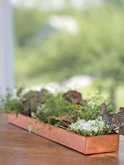 Rectangular Copper Plant Tray, 24" X 5" -Green Haven Shop 8593533 4626 tif