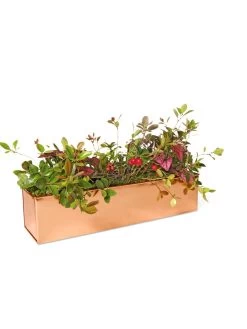 Tall Rectangular Copper Plant Tray, 18" X 5" X 4" -Green Haven Shop 8593534 2899 tif
