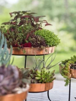 Small Round Copper Plant Tray, 10" -Green Haven Shop 8593564 4399 tif