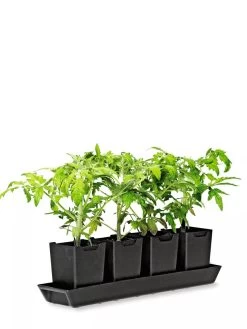 Pop-Out Pots, Set Of 4 -Green Haven Shop 8593943 1260 tif