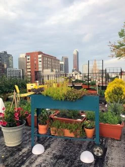 Demeter Mobile Planter Cart 12 Demeter Mobile Planter Cart -Green Haven Shop 8594148 01CUST tif