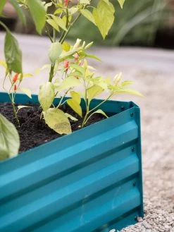Demeter Corrugated Metal Raised Bed, 34" X 68" -Green Haven Shop 8594183 470 tif