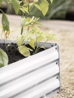 Demeter Corrugated Metal Raised Bed, 34" X 34" 12 Demeter Corrugated Metal Raised Bed, 34" X 34" -Green Haven Shop 8594183 570 tif 1