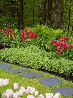 Recycled Rubber Flagstone Stepping Stone 16 Recycled Rubber Flagstone Stepping Stone -Green Haven Shop 8594282 518 tif