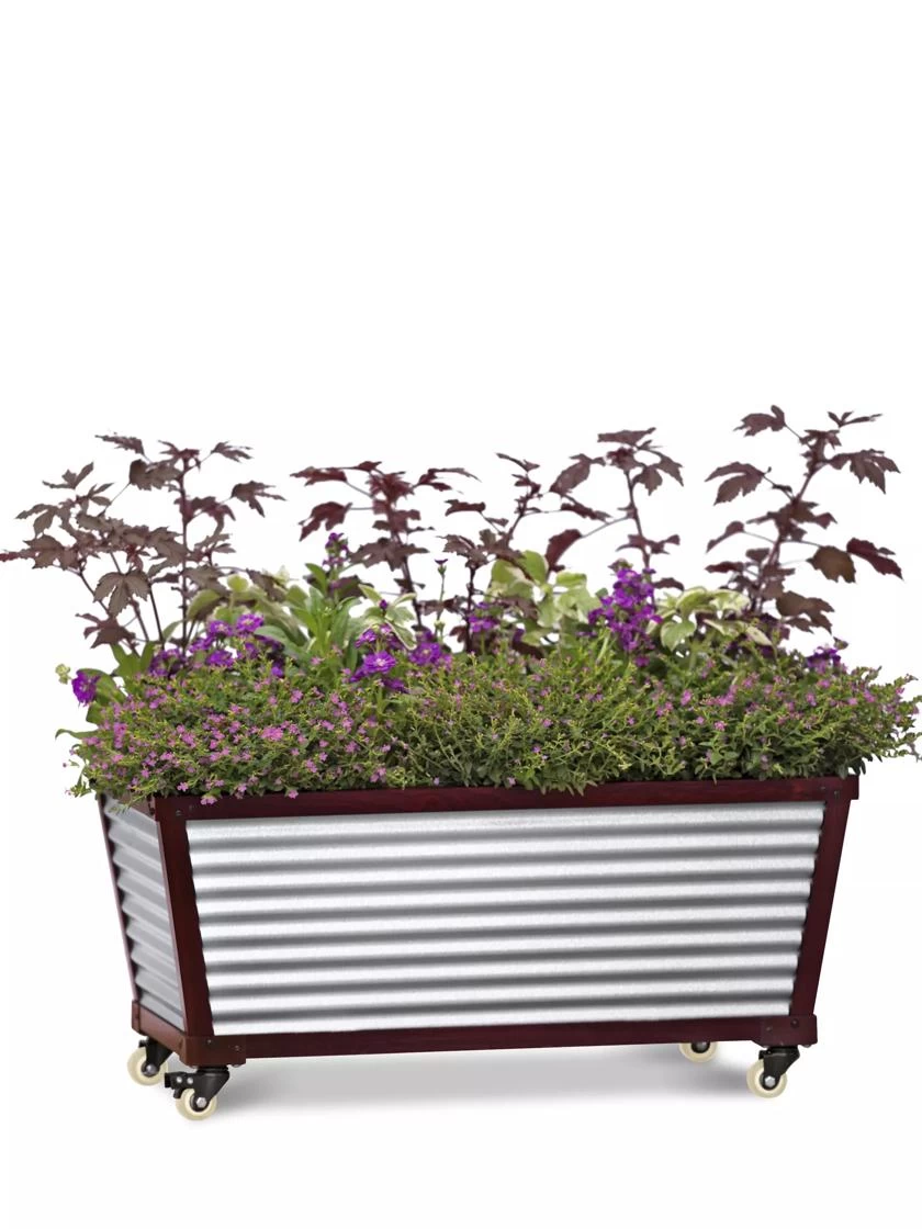Short Galvanized Self-Watering Trough Planter 2 Short Galvanized Self-Watering Trough Planter - Image 2