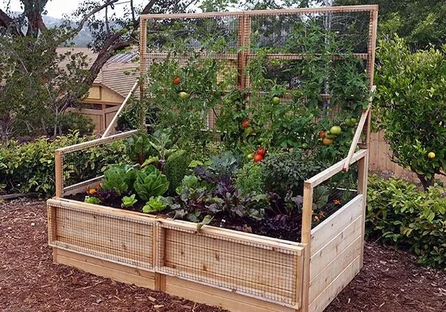 Garden In A Box With Trellis/Lid Option, 3' X 6' 2 Garden In A Box With Trellis/Lid Option, 3' X 6' - Image 2