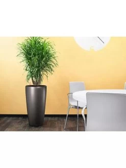 Lechuza® Rondo Self-Watering Planters -Green Haven Shop 8594586 02V tif