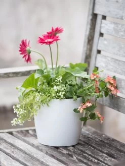 Viva Round Self-Watering Planter, 7" Diameter -Green Haven Shop 8595222 1139 tif