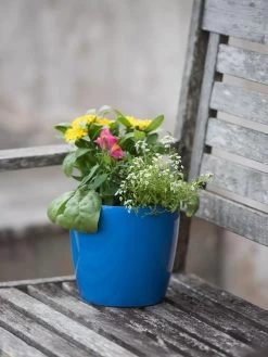 Viva Round Self-Watering Planter, 7" Diameter -Green Haven Shop 8595222 1143 tif